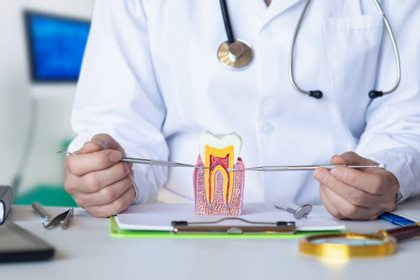 Best 24-Hour Emergency Dentist in Cameron Park, TX